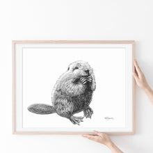 Charger l'image dans la galerie, baby beaver drawing quebec black white