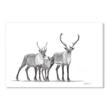 Charger l'image dans la galerie, caribou family drawing black and white handmade quebec montreal charcoal