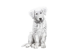 Charger l'image dans la galerie, black and white doggie dog golden retriever