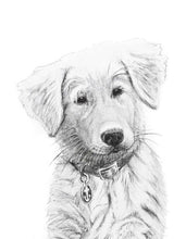 Charger l'image dans la galerie, hand made drawing dog