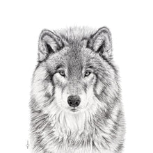 Charger l'image dans la galerie, majestic wolf look close up drawing black and white charcoal canvas frame wall art bedroom livingroom house home animal forest