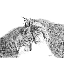 Charger l'image dans la galerie, dessin fait main noir et blanc lynx lynx lyxn en amour amoureux adorable social animals