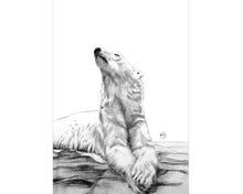 Charger l'image dans la galerie, home decore illustration polar bear ours polair decor maison dessin fait main fusain