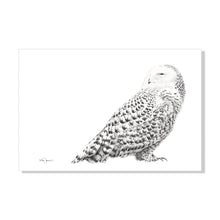 Charger l'image dans la galerie, lifestyle drawing charcoal snowy owl