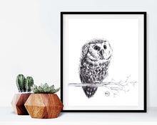 Charger l&#39;image dans la galerie, animal frame owl balck and white
