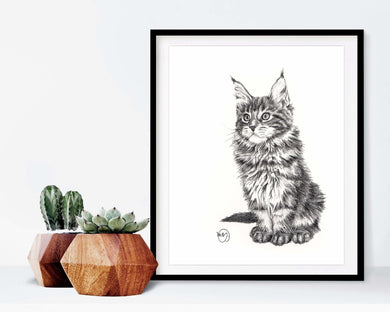 wild cat baby black and white drawing