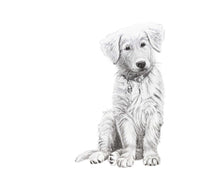 Charger l&#39;image dans la galerie, black and white doggie dog golden retriever
