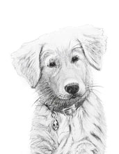 Charger l&#39;image dans la galerie, hand made drawing dog 
