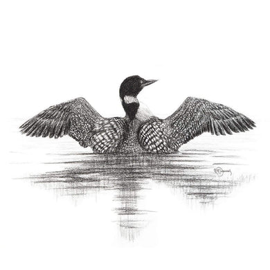canadian loon drawing black and white charcoal beuatiful waal art frame illustration