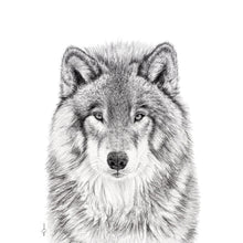 Charger l&#39;image dans la galerie, majestic wolf look close up drawing black and white charcoal canvas frame wall art bedroom livingroom house home animal forest
