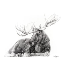 Charger l&#39;image dans la galerie, noir et blanc dessin fusain charcoal orignal moose waal art art mural 
