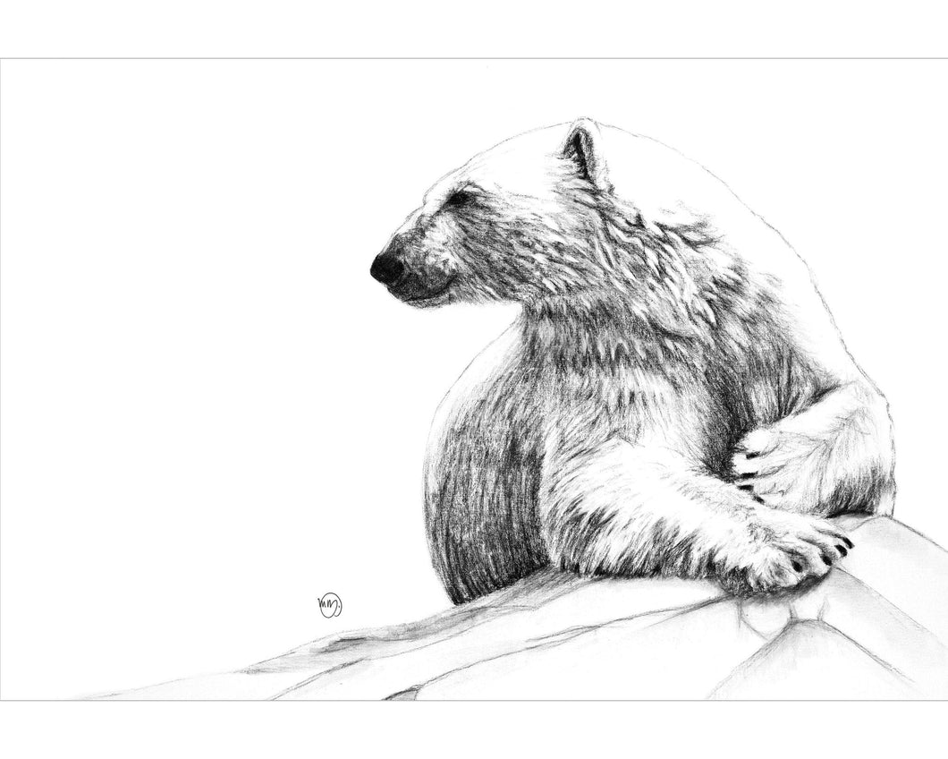 dessin fusain noir sur blanc ours polaire qui sourit handmade quebec fait main