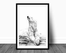 Charger l&#39;image dans la galerie, polar bear sun bathing on ice beautiful majestic drawing black and white wall art
