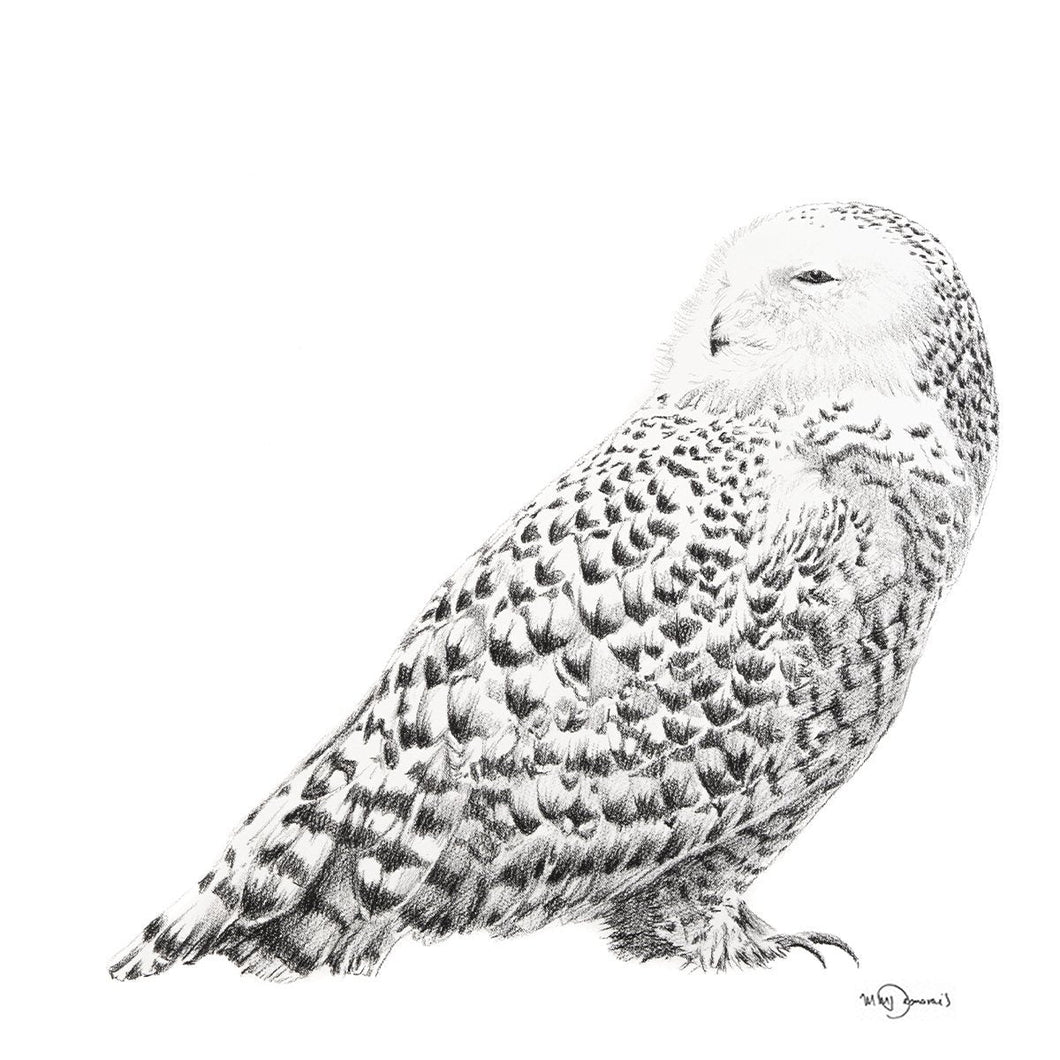 majestic snow owl handmade quebec blakc and white