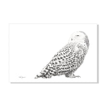 Charger l&#39;image dans la galerie, lifestyle drawing charcoal snowy owl
