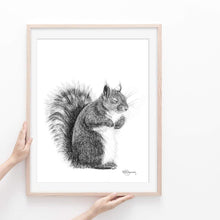 Charger l&#39;image dans la galerie, sleeping squirrel ecureuil qui dort cute drawing dessin illustration fait main handmade
